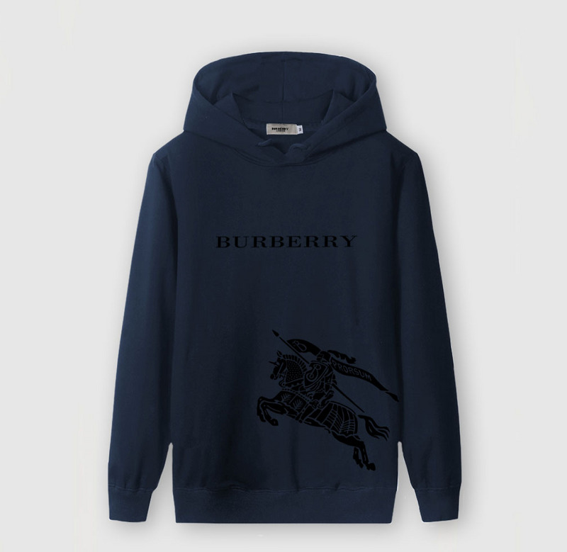 Burberry Hoody Mens ID:202004a421